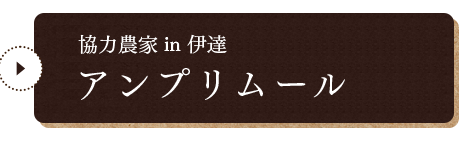 協力業者「伊達　アンプリムール」